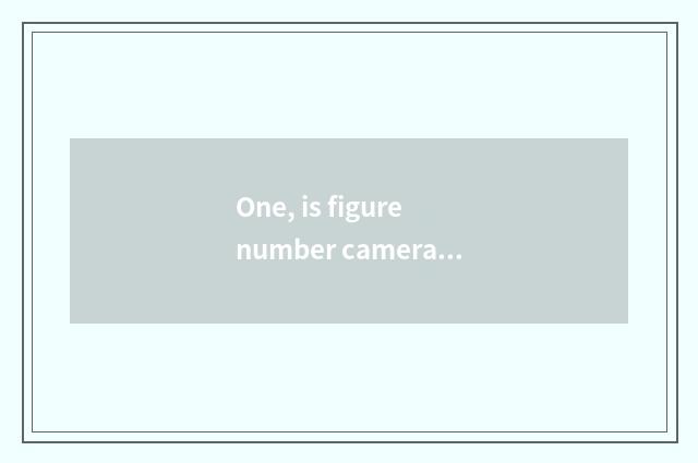 One, is figure number camera recommended?