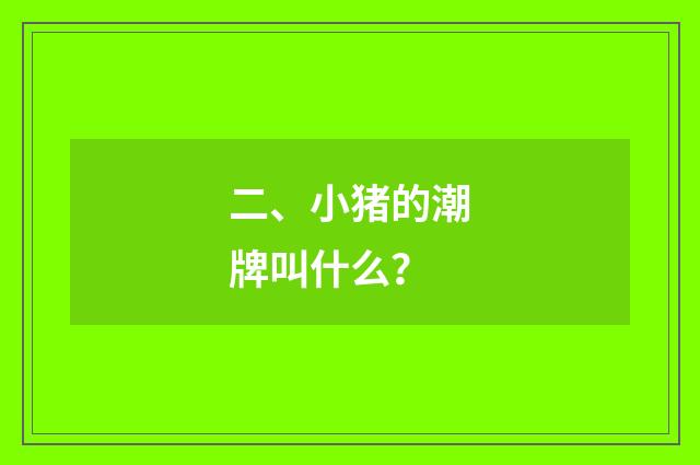 二、小猪的潮牌叫什么？