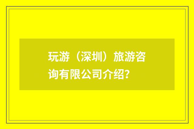 玩游(深圳)旅游咨询有限公司介绍?