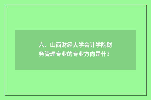 六、山西财经大学会计学院财务管理专业的专业方向是什？
