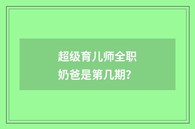 超级育儿师全职奶爸是第几期?