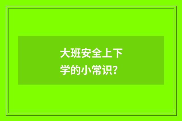 大班安全上下学的小常识？