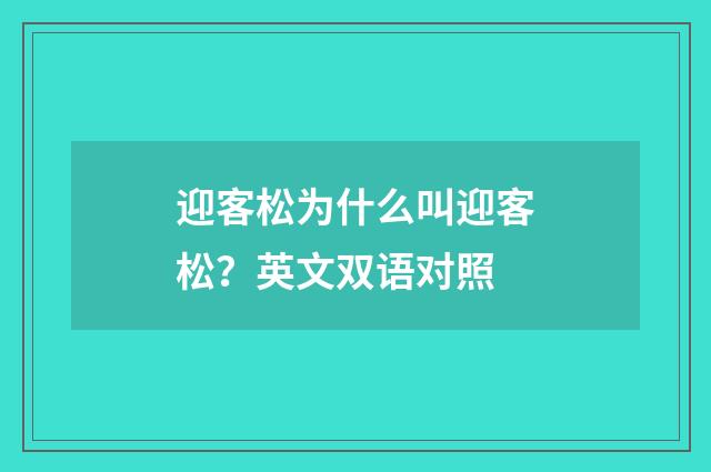 迎客松为什么叫迎客松?英文双语对照