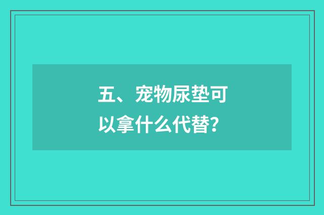 五、宠物尿垫可以拿什么代替？