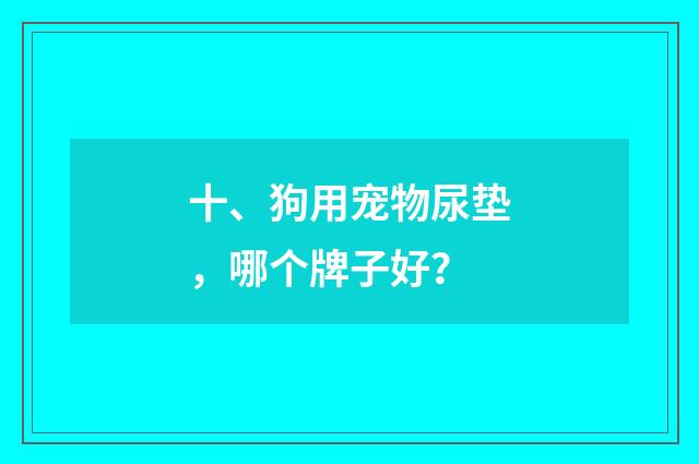 十、狗用宠物尿垫，哪个牌子好？