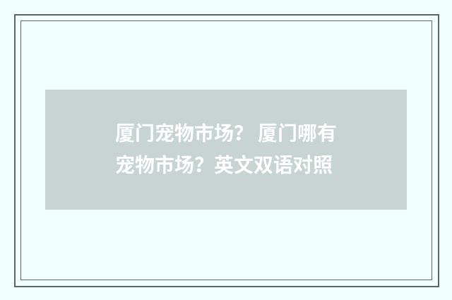 厦门宠物市场？ 厦门哪有宠物市场？英文双语对照