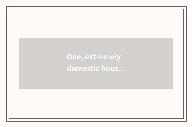 One, extremely domestic household is a what kind of website, does everybody know