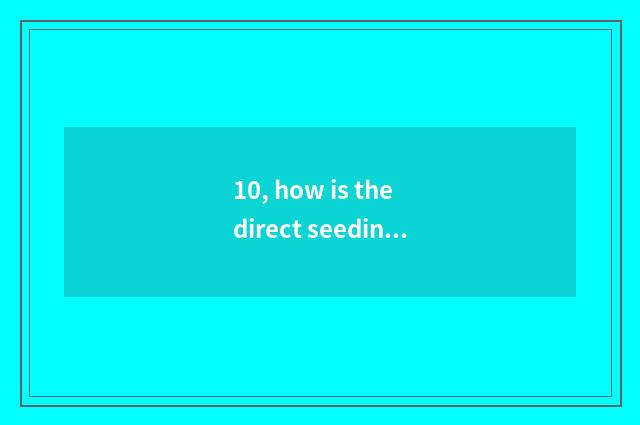 10, how is the direct seeding of finance and economics above direct seeding of t
