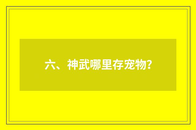 六、神武哪里存宠物？
