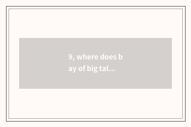 9, where does bay of big talk big talk belong to?