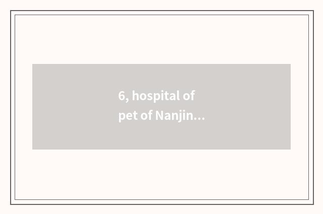 6, hospital of pet of Nanjing where home sees a doctor to parrot?