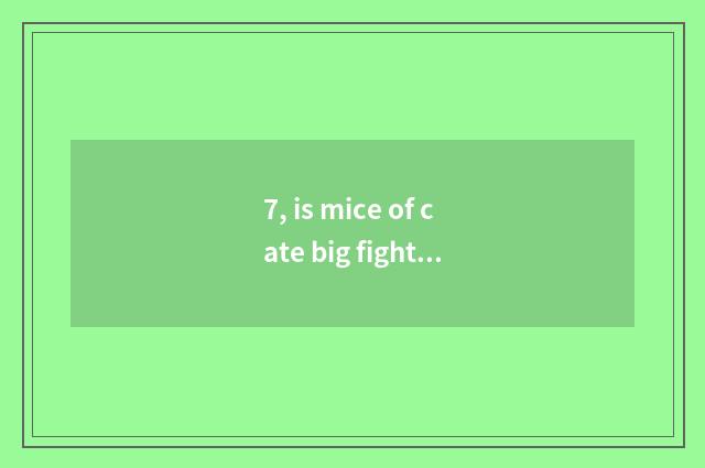 7, is mice of cate big fight amused?