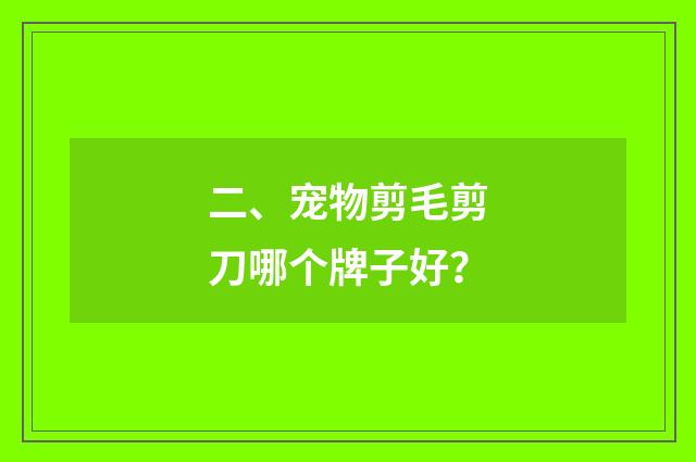 二、宠物剪毛剪刀哪个牌子好?