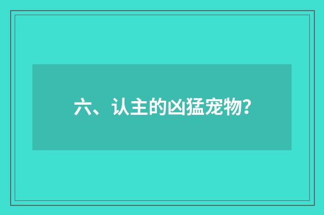 六、认主的凶猛宠物?