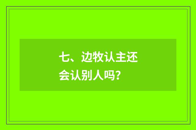 七、边牧认主还会认别人吗?