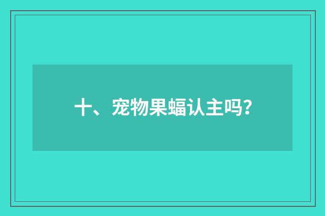 十、宠物果蝠认主吗?
