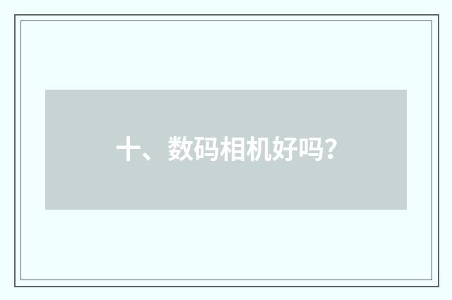 十、数码相机好吗?
