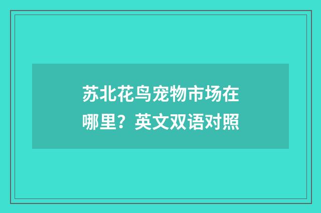 苏北花鸟宠物市场在哪里?英文双语对照