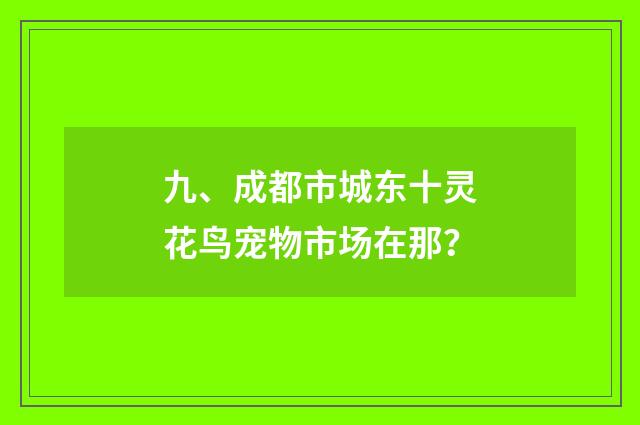 九、成都市城东十灵花鸟宠物市场在那?