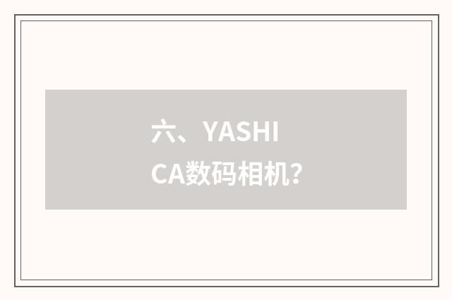 六、YASHICA数码相机？
