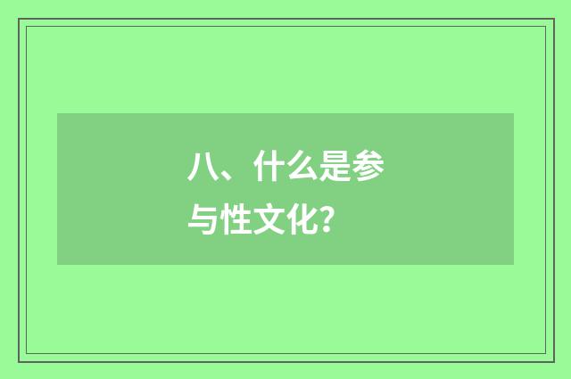 八、什么是参与性文化？