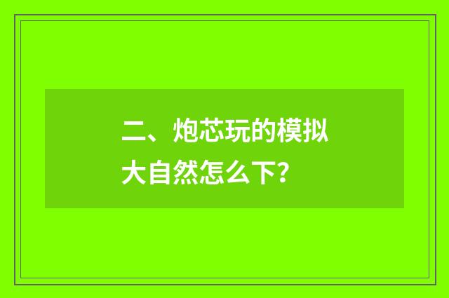 二、炮芯玩的模拟大自然怎么下？