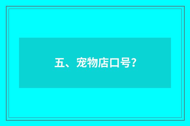 五、宠物店口号？