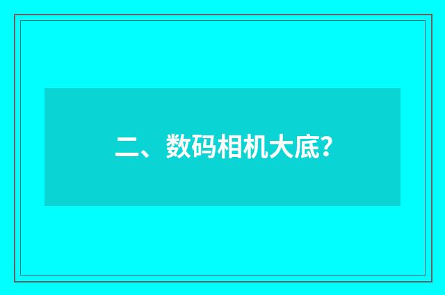 二、数码相机大底？