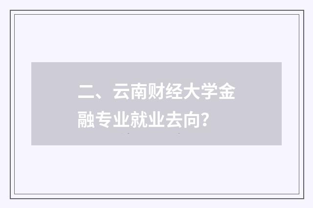 二、云南财经大学金融专业就业去向？