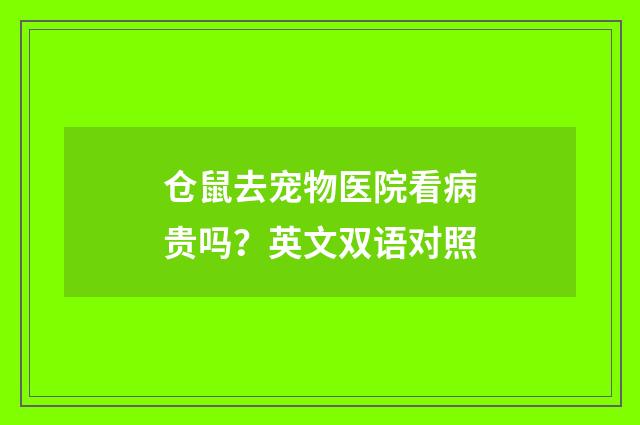 仓鼠去宠物医院看病贵吗？英文双语对照