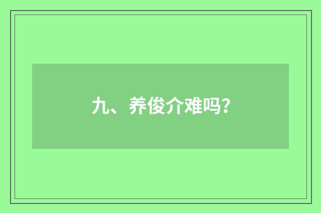 九、养俊介难吗？