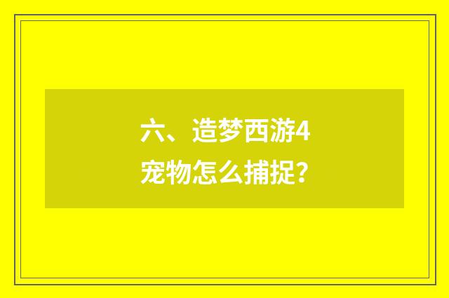 六、造梦西游4宠物怎么捕捉?