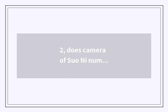 2, does camera of Suo Ni number have 80 times scorch?