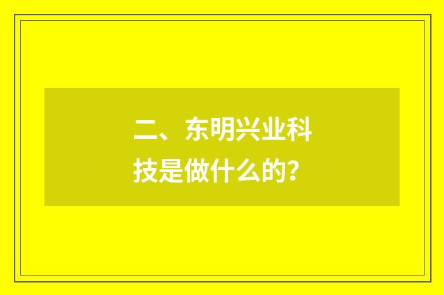 二、东明兴业科技是做什么的？