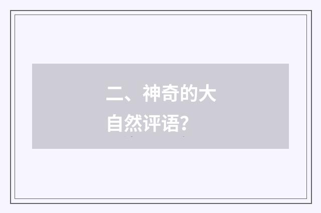 二、神奇的大自然评语?