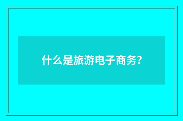 什么是旅游电子商务?