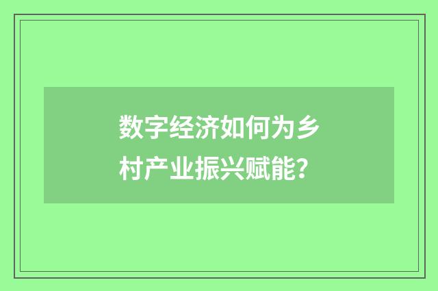 数字经济如何为乡村产业振兴赋能？