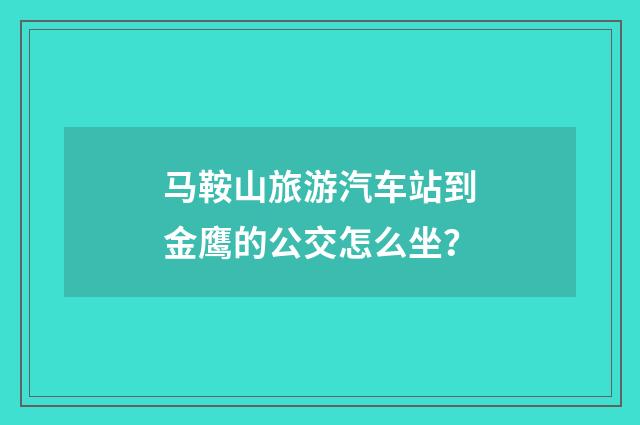 马鞍山旅游汽车站到金鹰的公交怎么坐?
