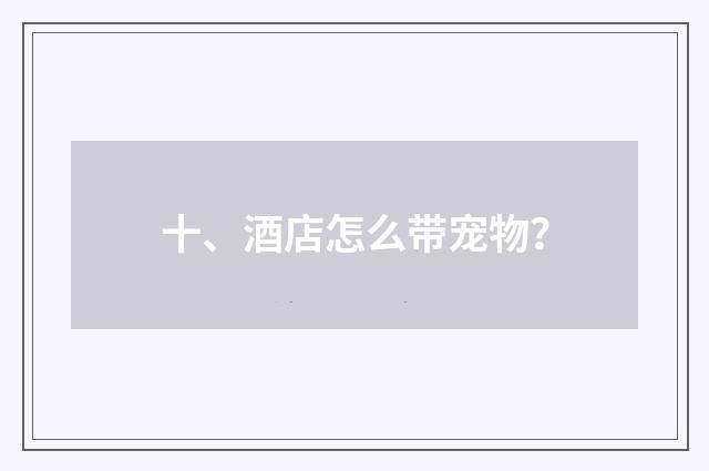 十、酒店怎么带宠物？