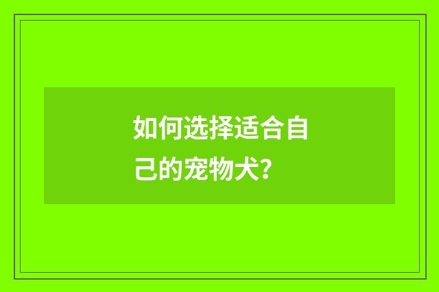 如何选择适合自己的宠物犬？