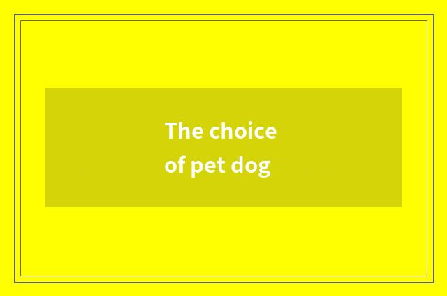 The choice of pet dog