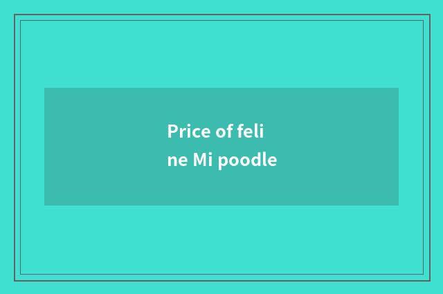 Price of feline Mi poodle