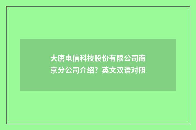 大唐电信科技股份有限公司南京分公司介绍?英文双语对照