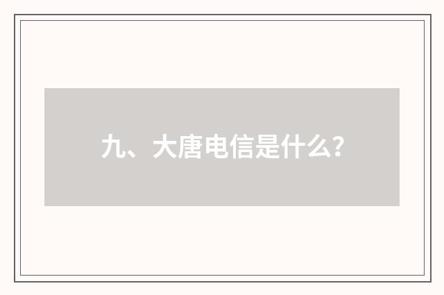 九、大唐电信是什么？