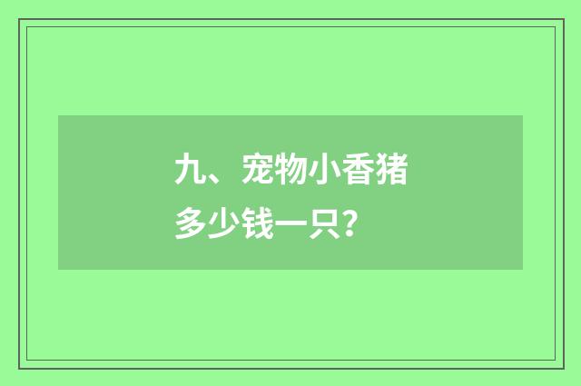 九、宠物小香猪多少钱一只？