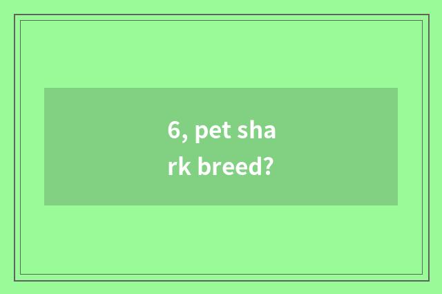 6, pet shark breed?
