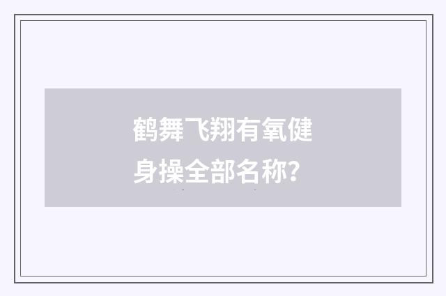 鹤舞飞翔有氧健身操全部名称？