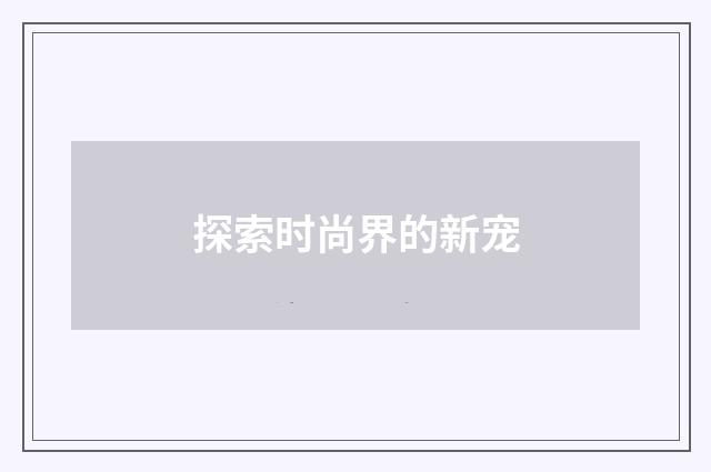 探索时尚界的新宠