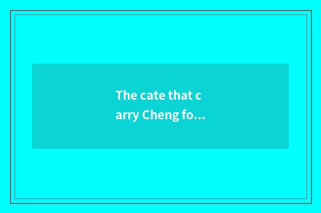 The cate that carry Cheng forest: The brigade that cate explores