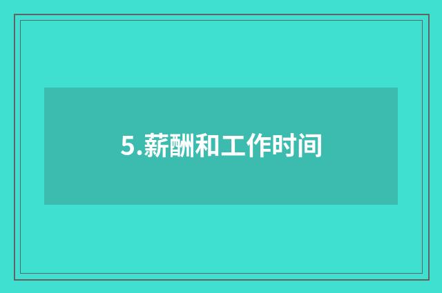5.薪酬和工作时间